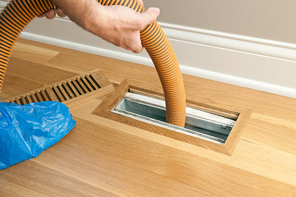 Best Air Vent Cleaning Services  in Chama, NM