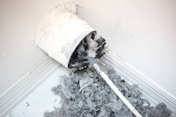 Best Air Duct Cleaning Near Me  in Chama, NM